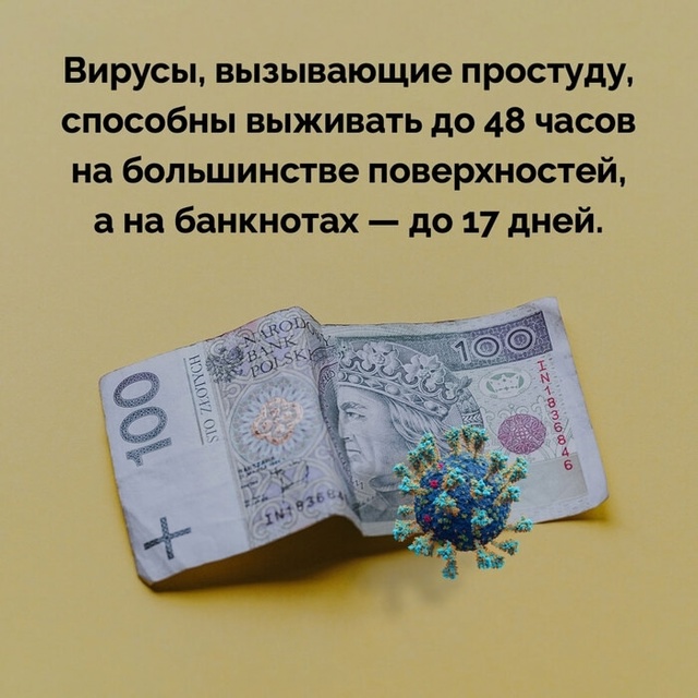 Подборка фактов.