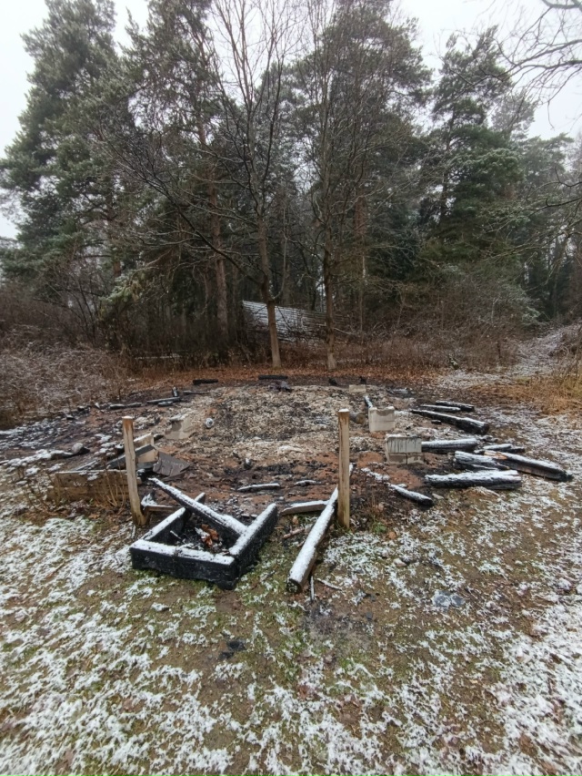 В Балашихинском районе, в Салтыковском лесу полностью ...