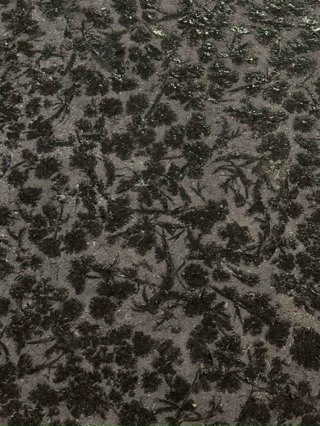 По ул Революции все тротуары покрыты таким узором. Уди?...