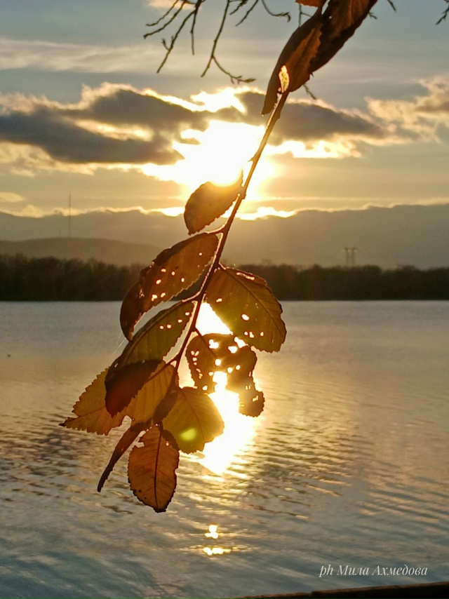 Вчерашний закат🌄
Вид на Жигулевские горы, со стороны ?...