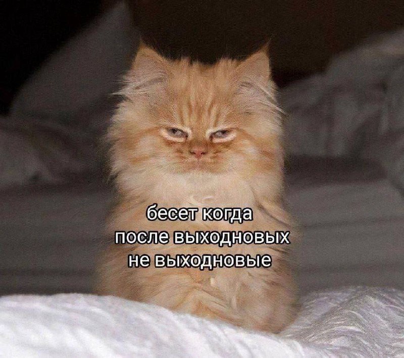 🥲 Настроение после праздников