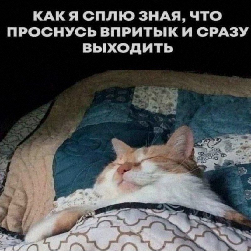 Ночная подборочка
Спать, режим