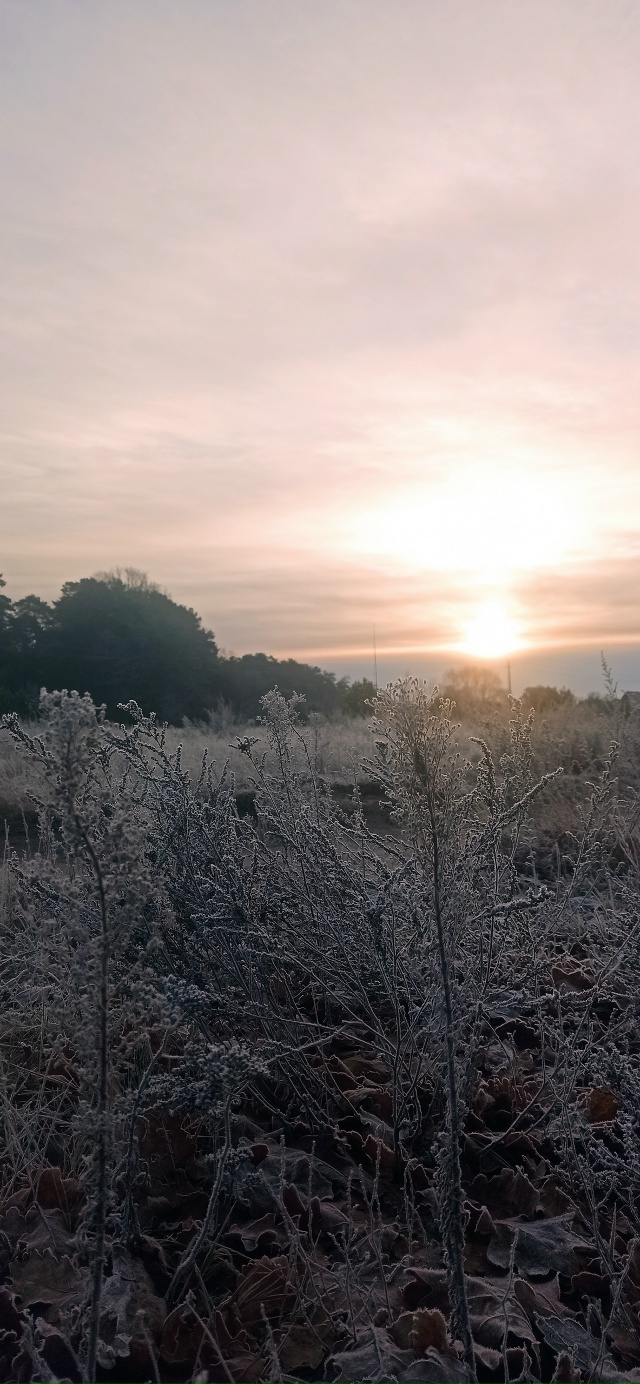 Доброго утра, Никольск❤