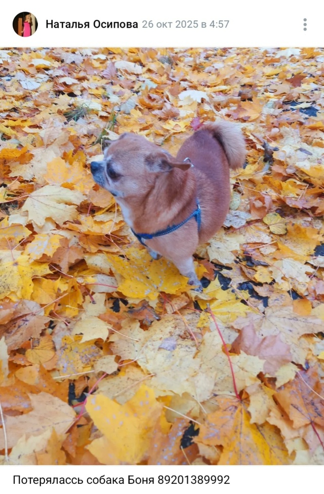 Пост добра. Распространите, пожалуйста)