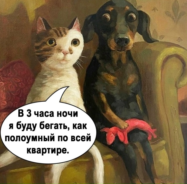 Повезло же этим котам