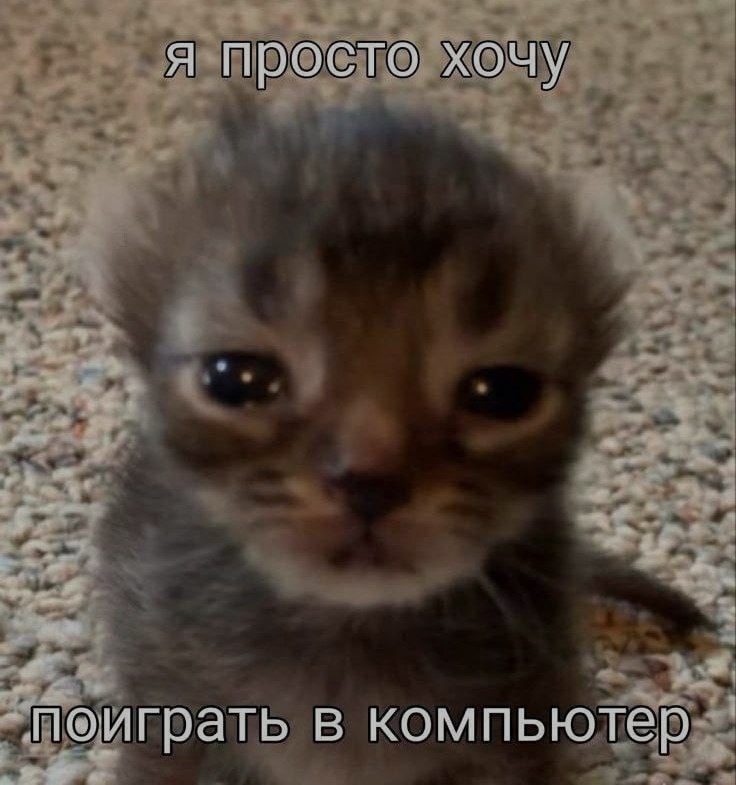 Ночная подборочка
Выходные, не спим