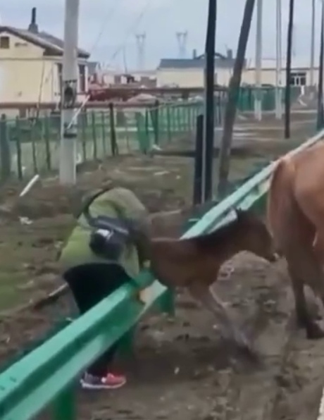 Спасибо добрым людям за такой поступок
