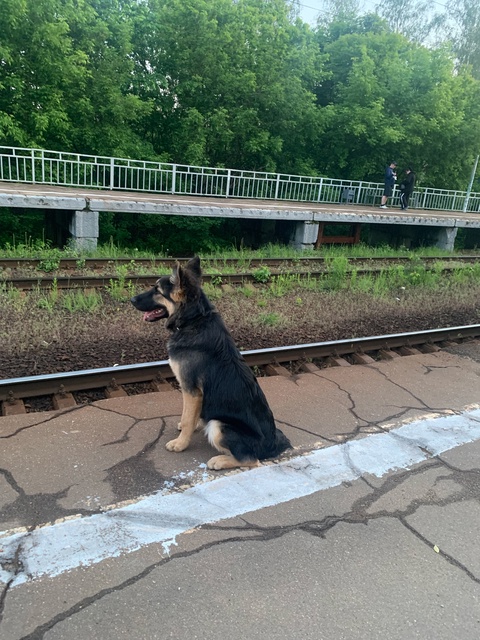 Всем доброго.
Помните этого красавчика?
Так вот, вчер?...