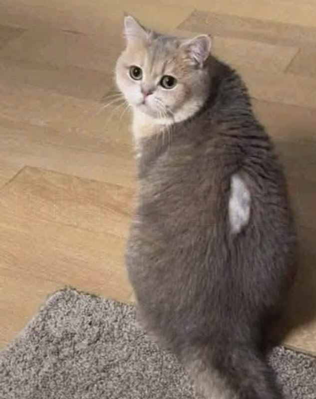 Когда слишком много кушал ☺️