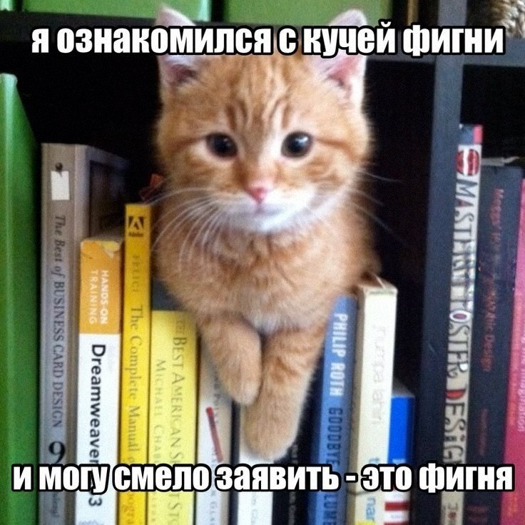 Утренняя подборочка