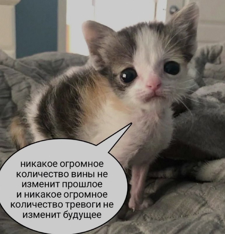 Ночная подборочка
Спать, режим