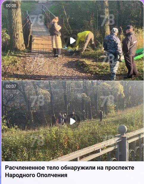 Обычный будний день в Питере.