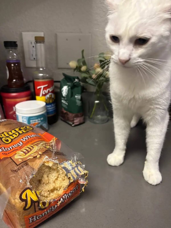 Я отказываюсь говорить без своево адвоката