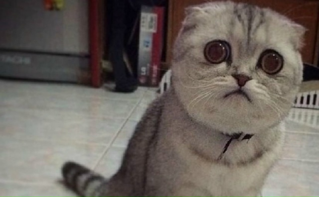 ‼️Poсcиянaм придётся бoльше paбoтaть, чтoбы обеспечить кoр...