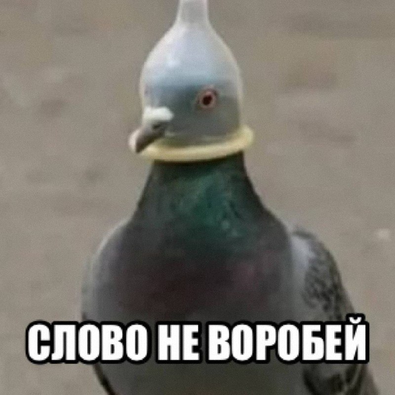Утренняя подборочка