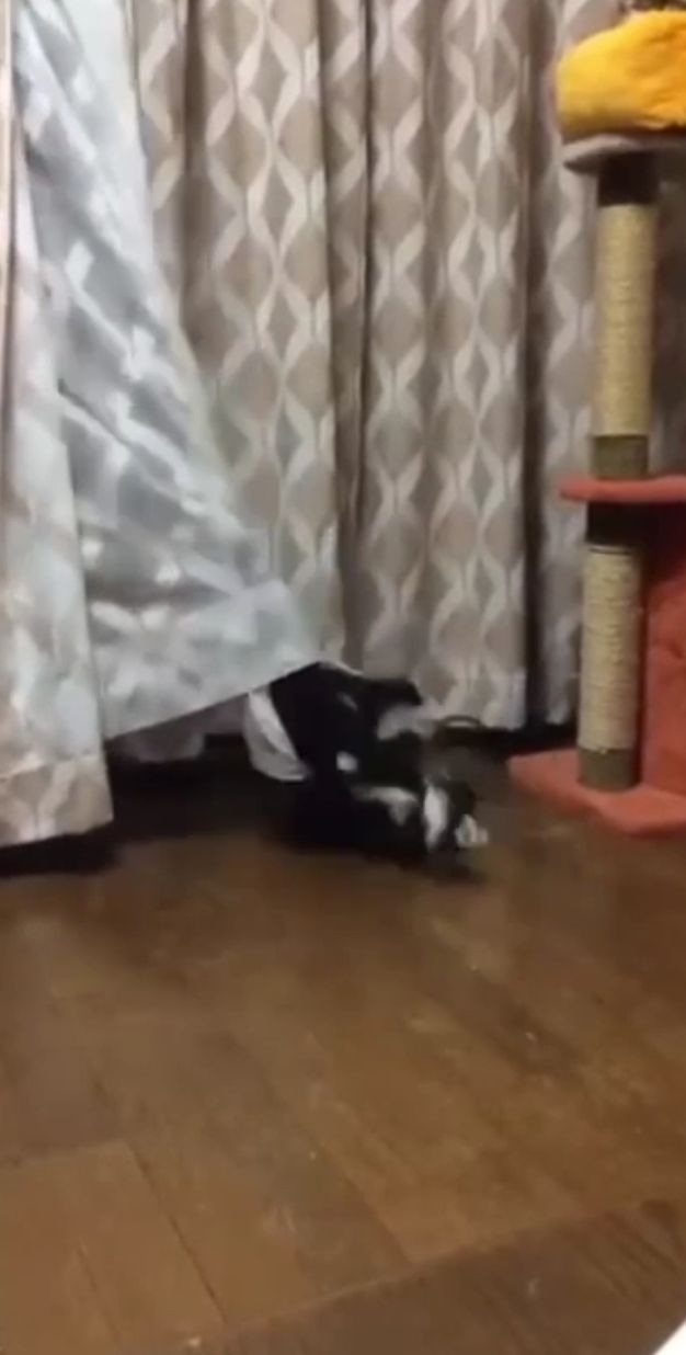Немного запутался