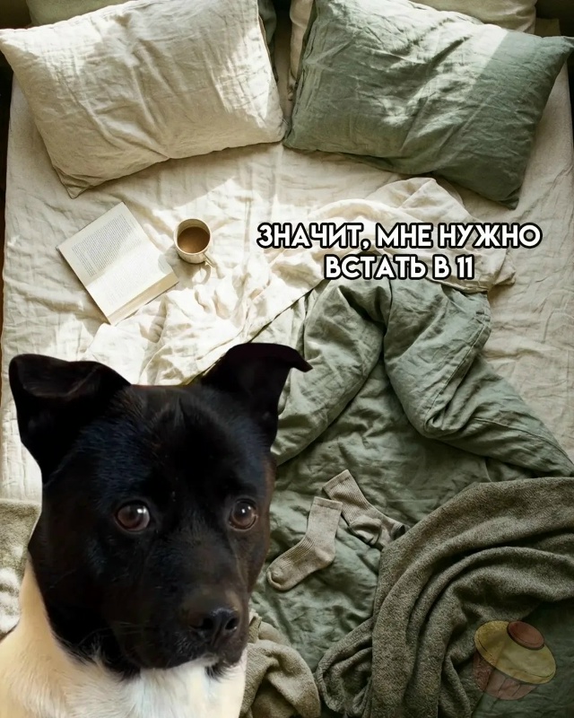 Я и мои сборы