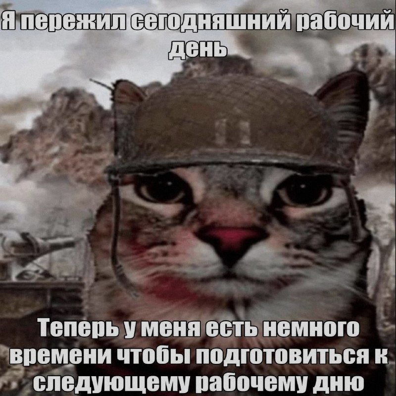 Ночная подборочка
Спать, режим