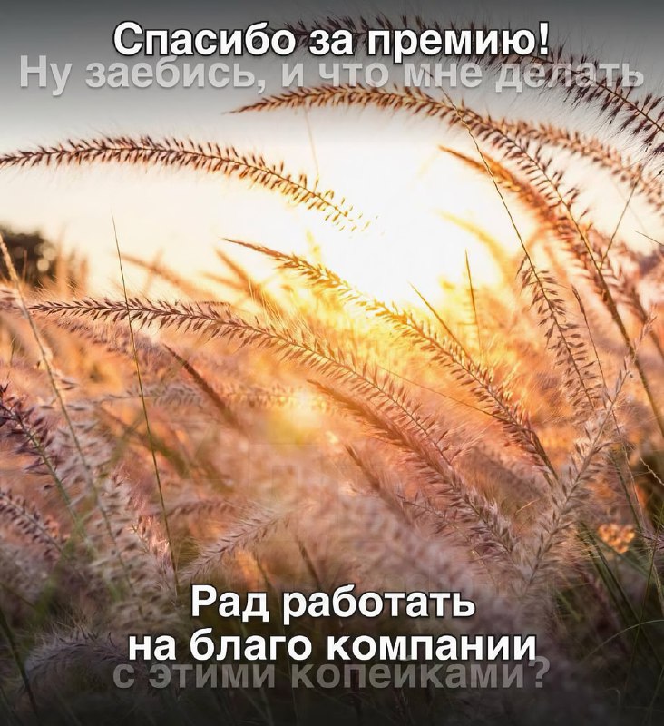 В Сети объяснили, что на самом деле означают стандартные фразы на рабочих созвонах
Какой ты сегодня