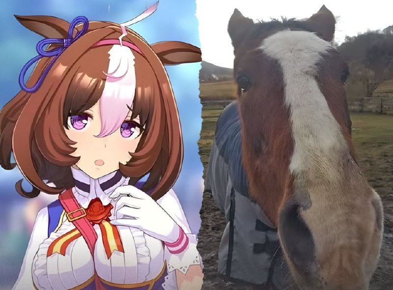 🐴Фанаты «Девушки-пони» пожертвовали более 600 000 долларов США на восстановление конюшни Мэйсё Дото