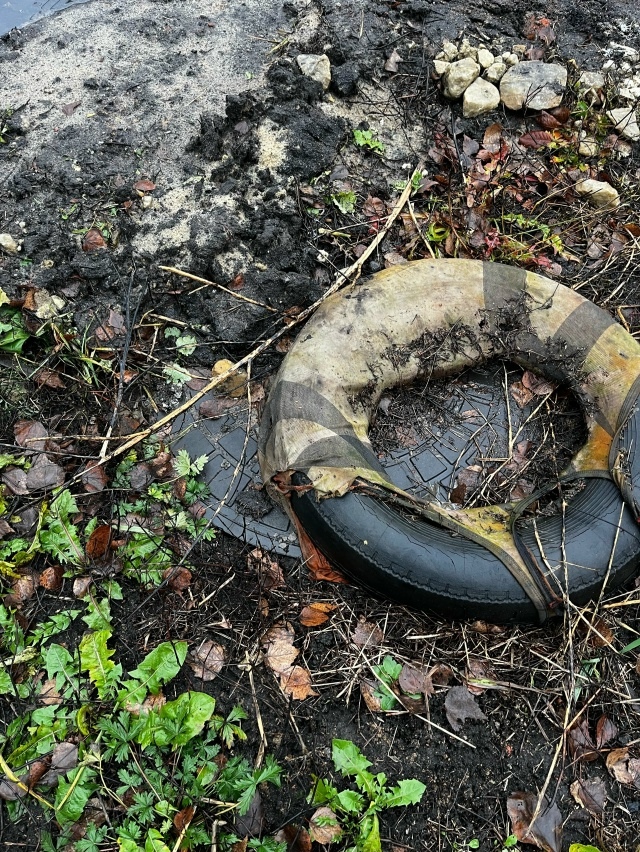 Нам пишут:
Тракторист ты свинота. У своего дома так сде...