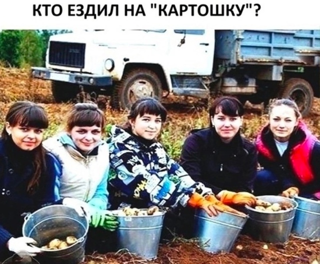 Было время
Сейчас вообще ездят на картошку?