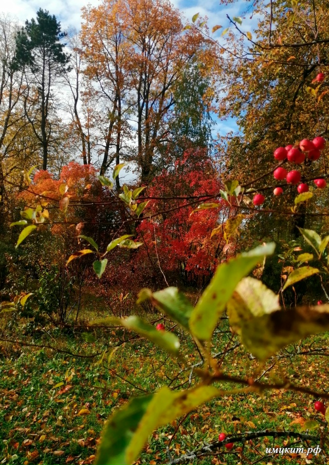 🍂Осень в Спиринском саду 🍂