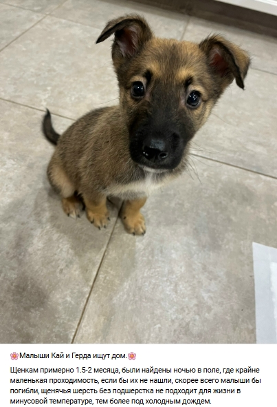 Пост добра. Распространите, пожалуйста.