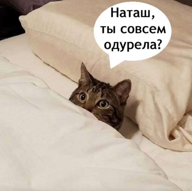 Это вообще очень возмутительно