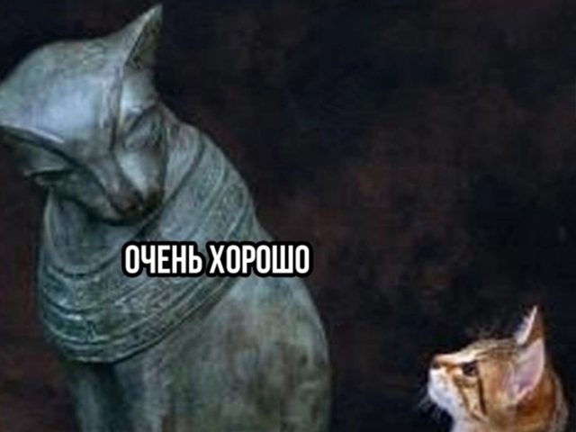 Всё идет как нужно