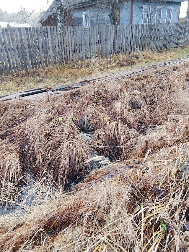 Продолжаем рассказывать про Коношское благоустройств...