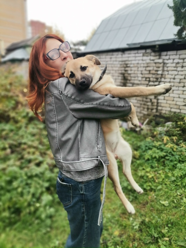 В поиске дома две очаровательные красотки-Дина и Джерр...