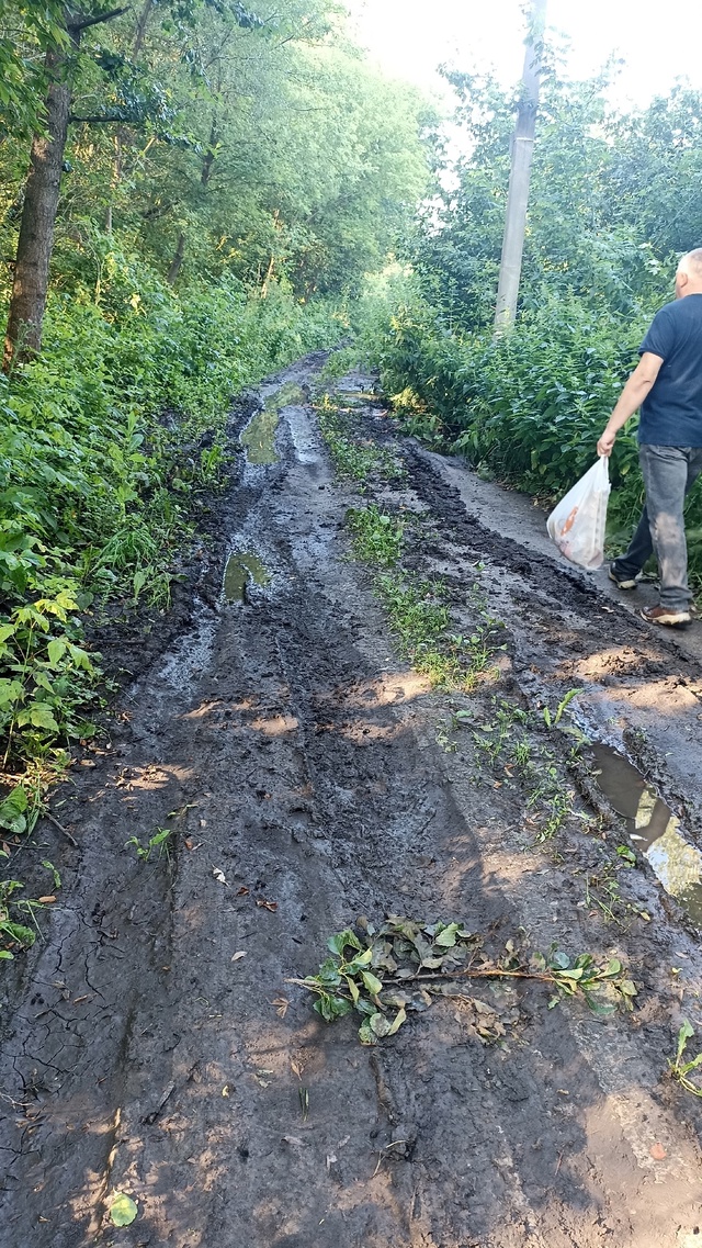 Село Черняное, улица Луговая — участок от дома 35 до 26. Д...