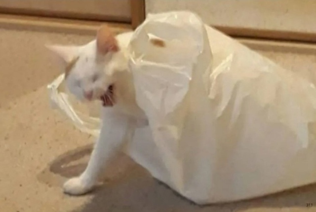 Я, когда нужно рано вставать