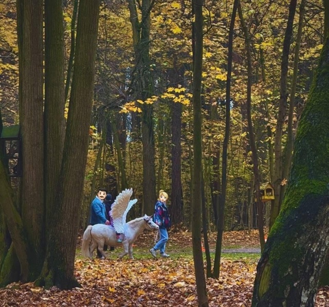 В одном из парков Балашихи заметили Пегаса