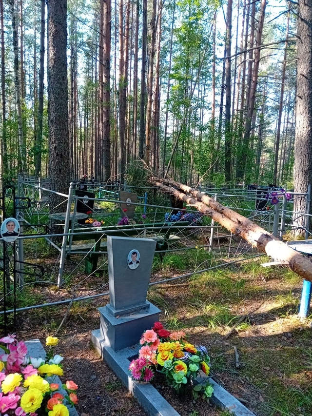 С утра съездили на кладбище,это вход от пешеходного пе?...
