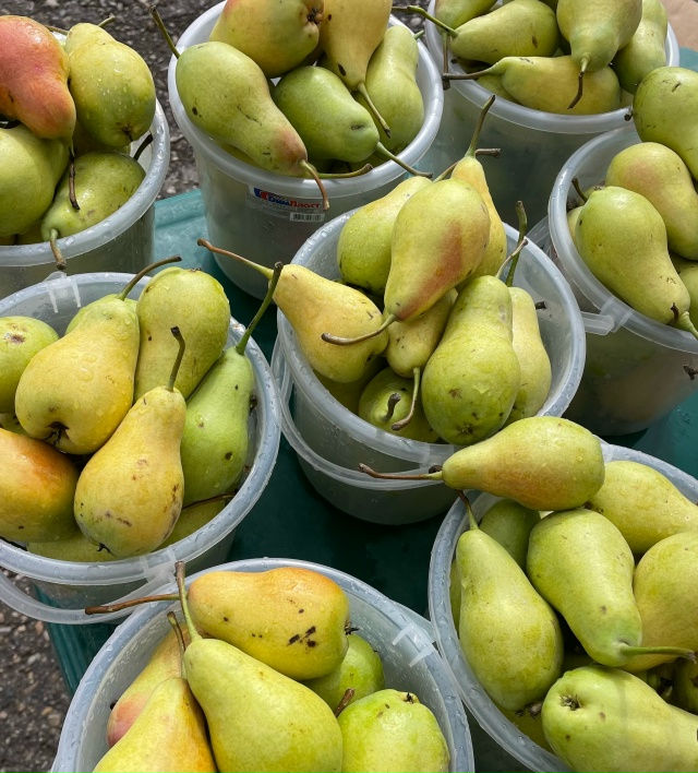 Дорогие друзья! С. КРАСНОУСОЛЬСКИЙ🍎🍐ПРИЕДЕМ НА ЯРМА?...