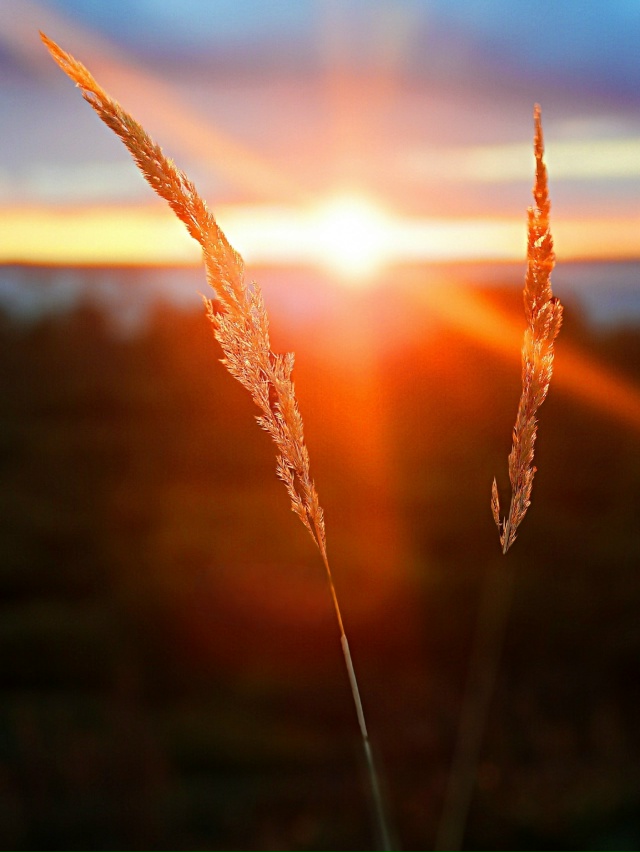 Золотые мгновения осени 🍁🍁🍁