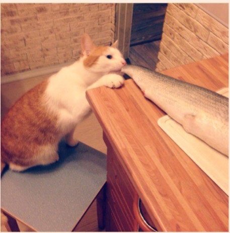 Наглость второе счастье!!!😃