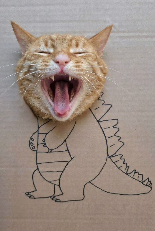 Внимание!
Котзилла.
Спасибо за внимание.