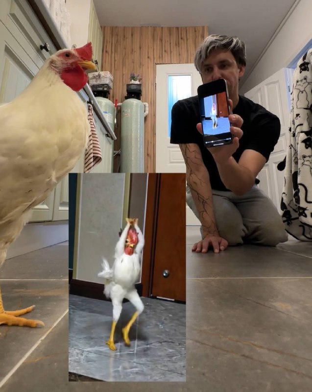 Кто у нас тут звезда 😂