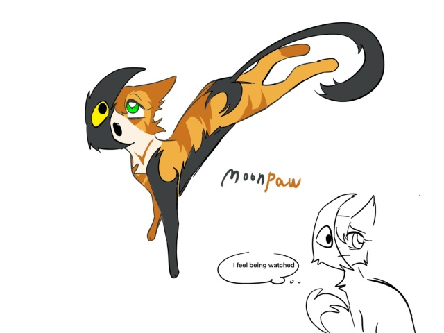 «У меня ощущение, что за мной наблюдают»
Лунолапка
© b...