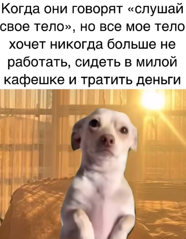 честно говоря: