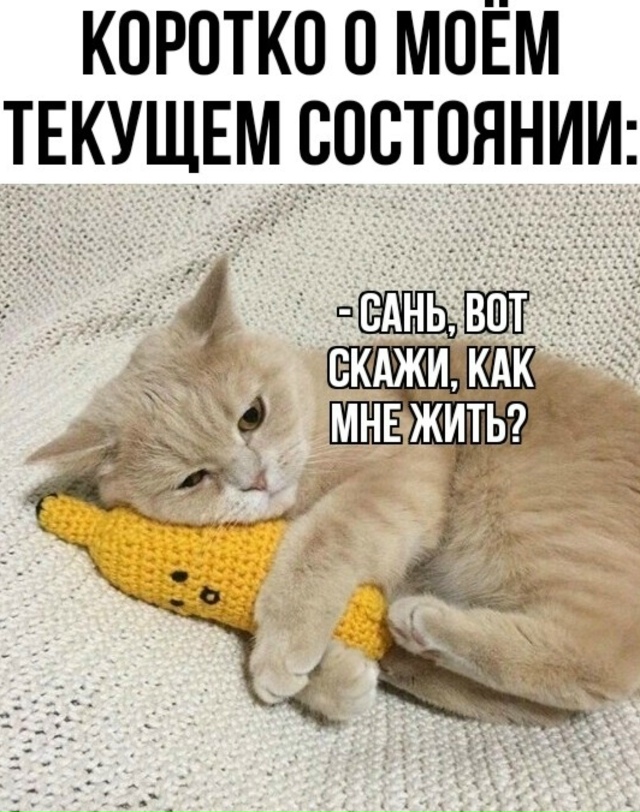 Как все это знакомо