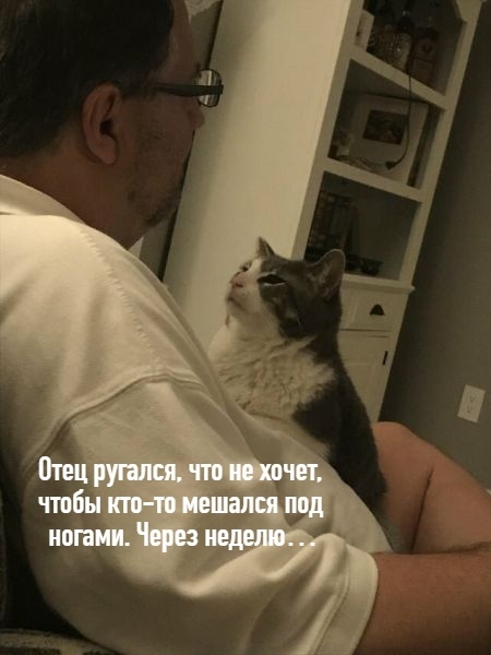 6 брутальных мужчин, которые твёрдо уверены: «Место кот...