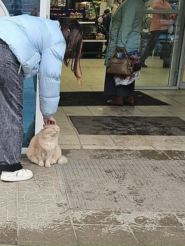 В Кондратово появился трогательный стрит-арт в память ...