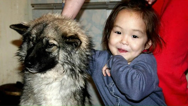 В июлe 2014 года в тайгe пропала 4-лeтняя дeвочка Карина Чик...