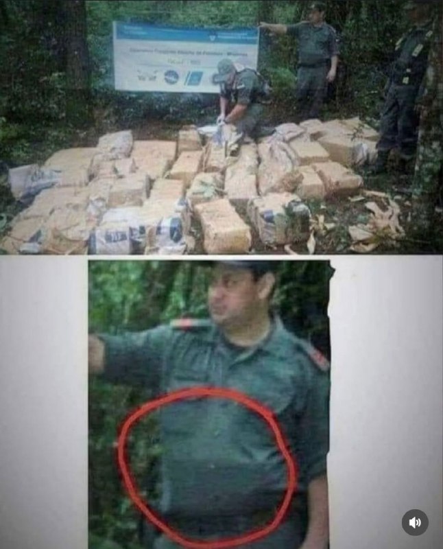 Макс Краун в момент отмены Мем республики не раздав и половины призовых