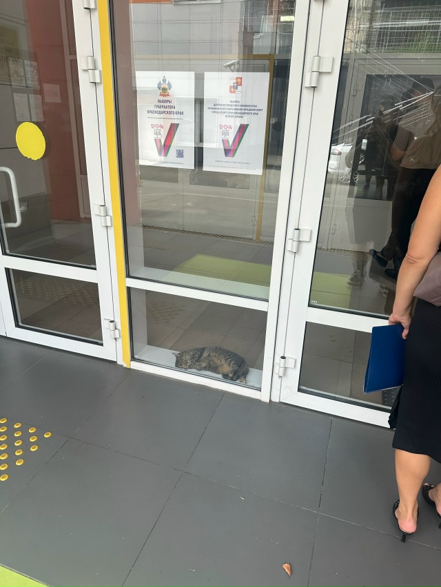 Акушер родильного отделения города Сочи (отдыхает пос?...