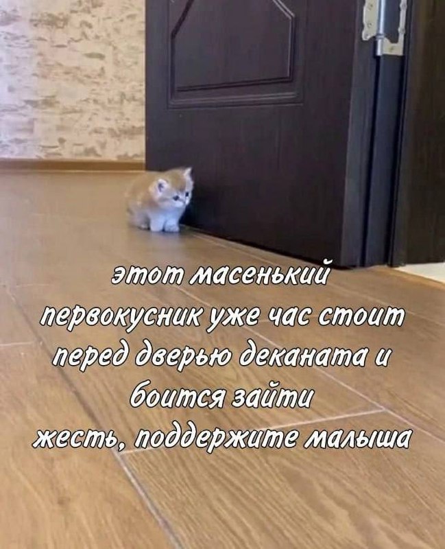 Утренняя подборочка